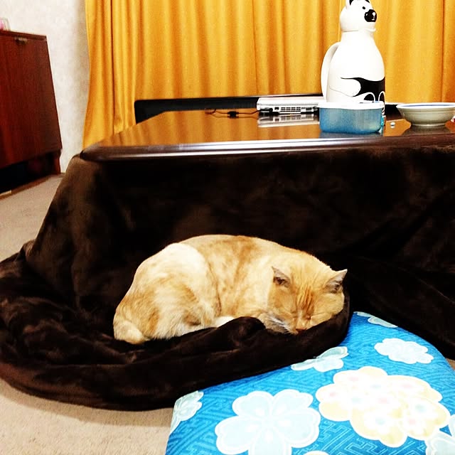 eimi5558さんの実例写真