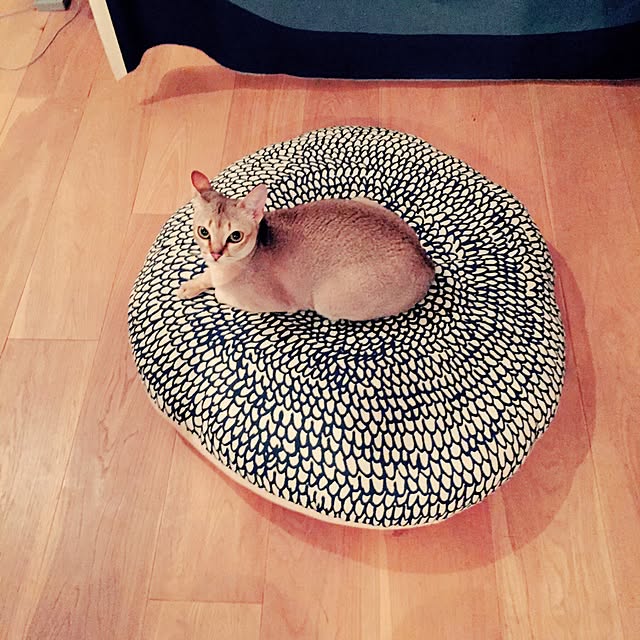 jaajjiさんの実例写真