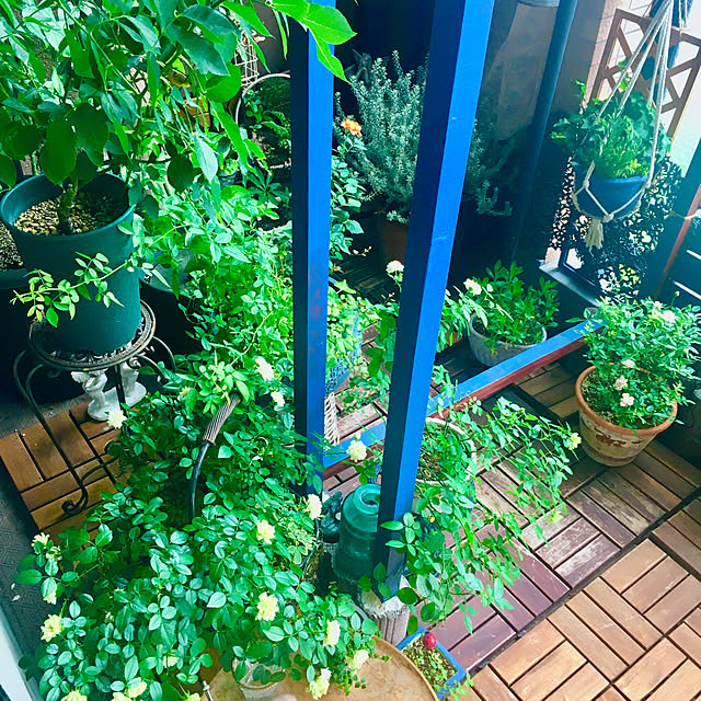 naokoさんの部屋