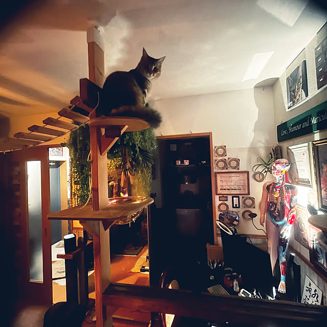 Mさんの実例写真