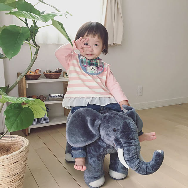 kokoさんの実例写真