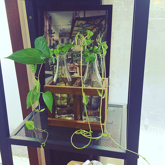 poniさんの実例写真