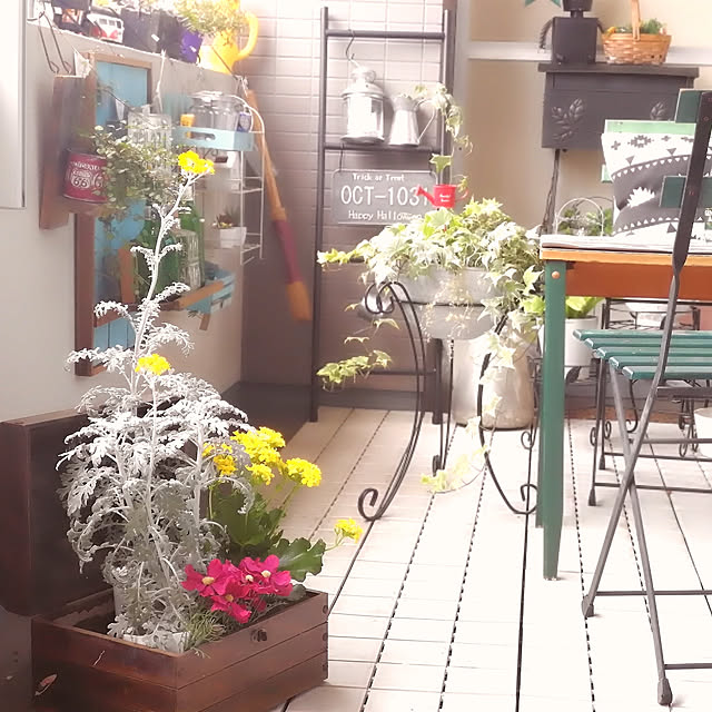 mayumiさんの実例写真