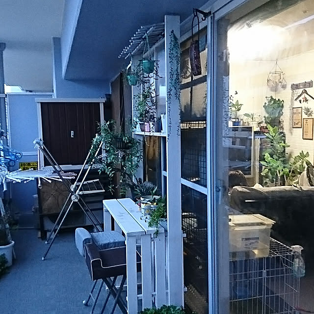 okameさんの実例写真