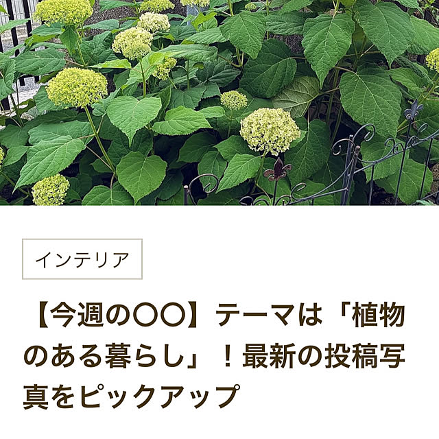 MOMOMAMAさんの実例写真