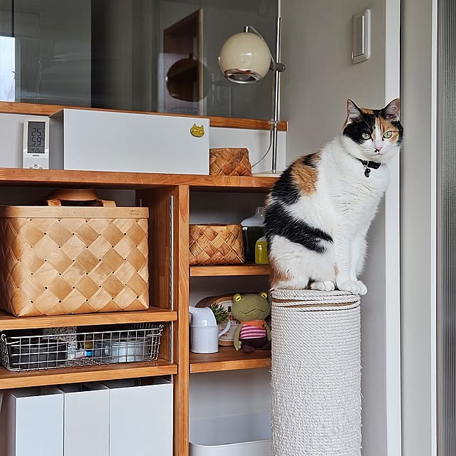 koyurizuさんの部屋