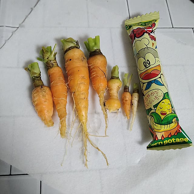 ameamekaasanさんの実例写真
