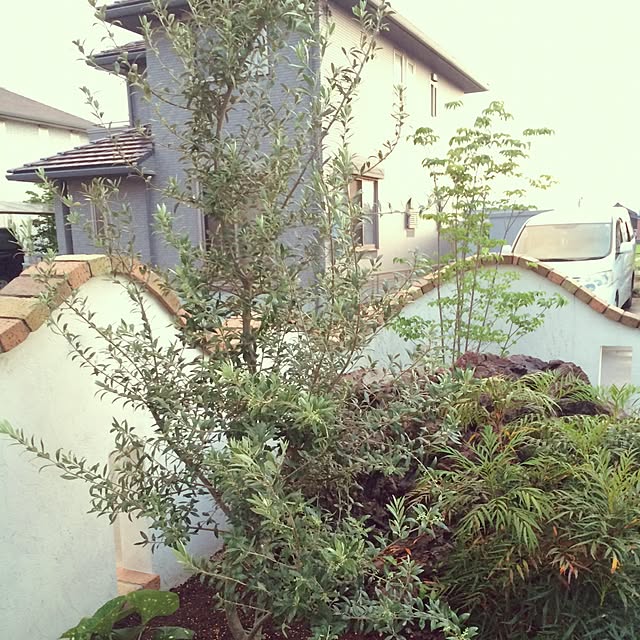 yuriさんの実例写真