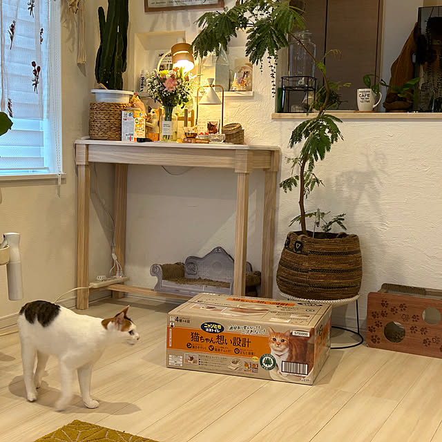 megu.catさんの部屋