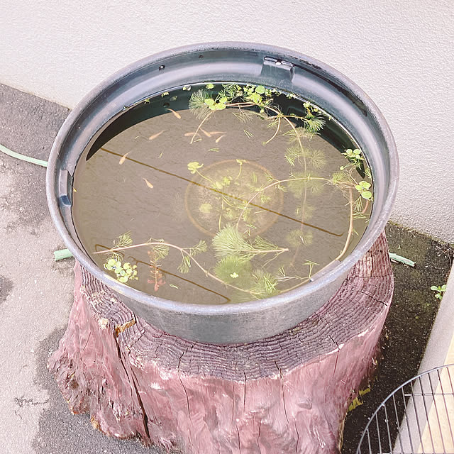 Megumiさんの実例写真