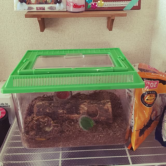 mahalloさんの実例写真