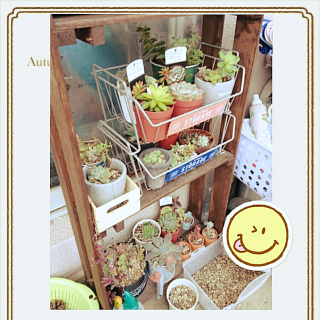 yukinkoさんの実例写真