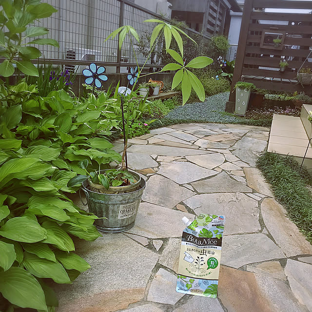 portulacaさんの実例写真