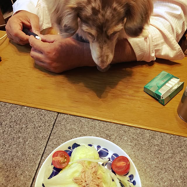Eikoさんの実例写真