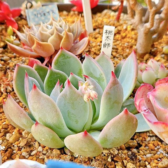 tamiさんの部屋