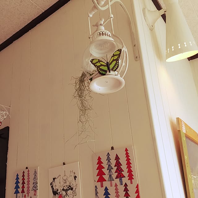 takaさんの実例写真