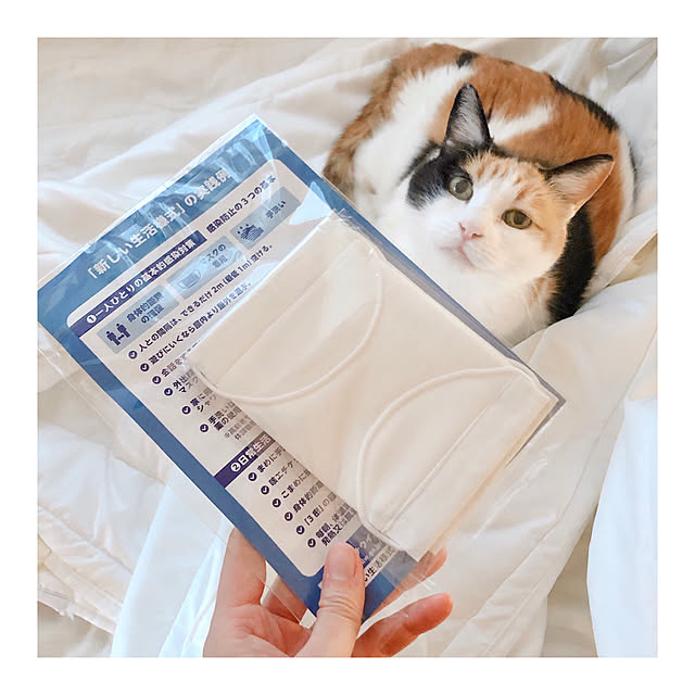 warashibeさんの実例写真