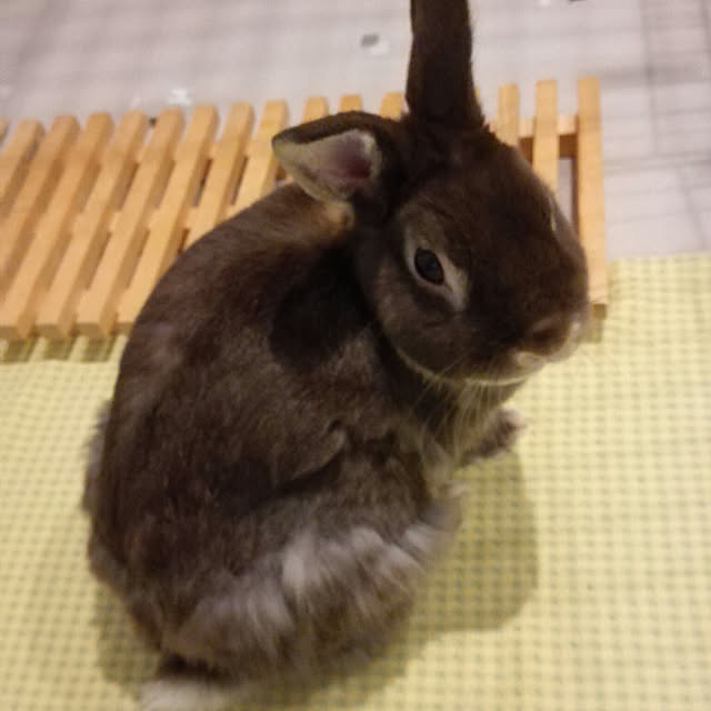 1ldksさんの実例写真
