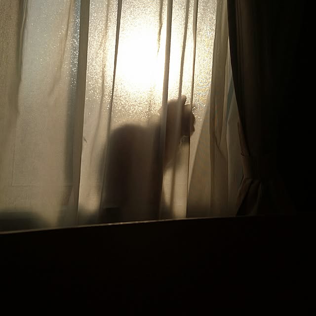 makkiiさんの実例写真