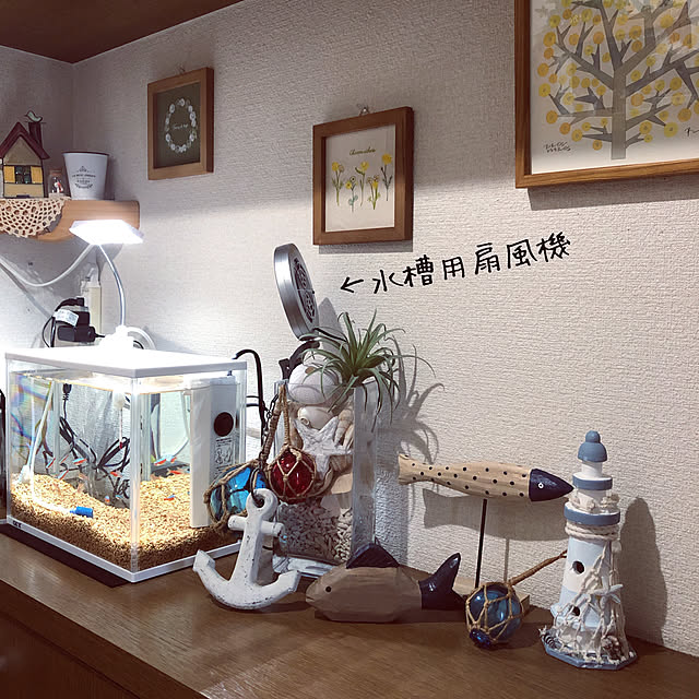 honpoさんの実例写真