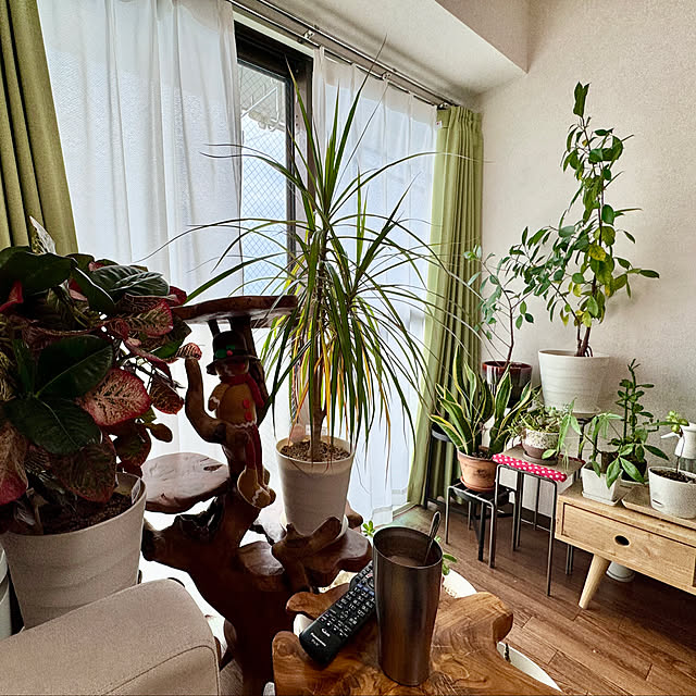 dadarikaさんの実例写真