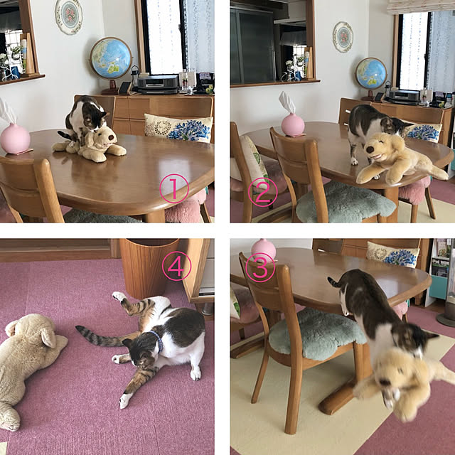 実例写真