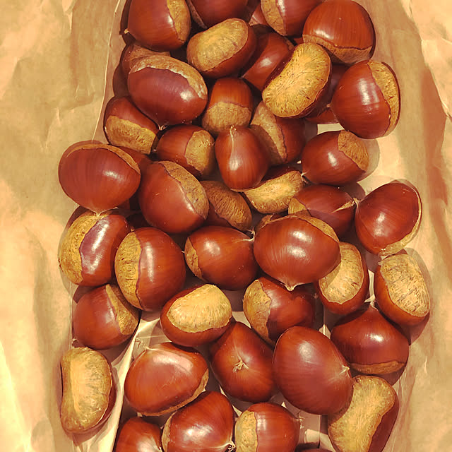 Pyagarinさんの実例写真