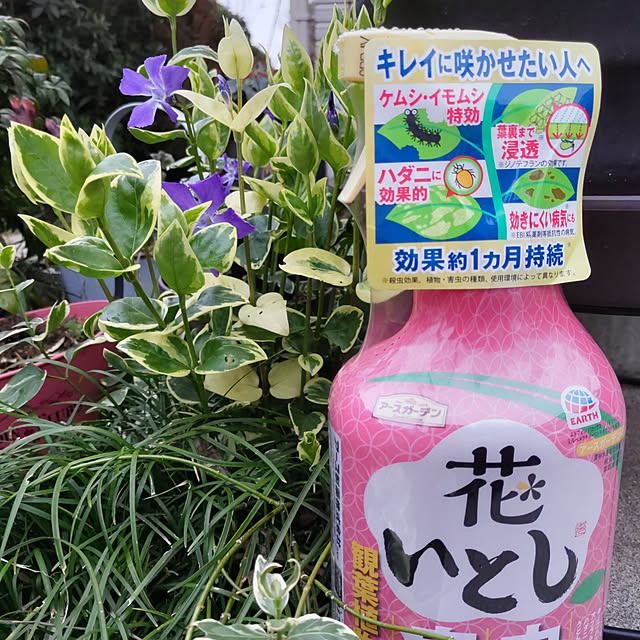 houenさんの部屋