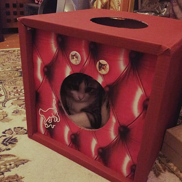 emmyyさんの実例写真