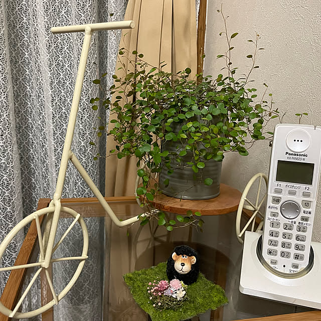 yukincoさんの実例写真