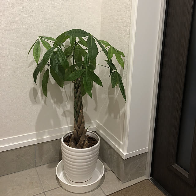 abebiさんの実例写真