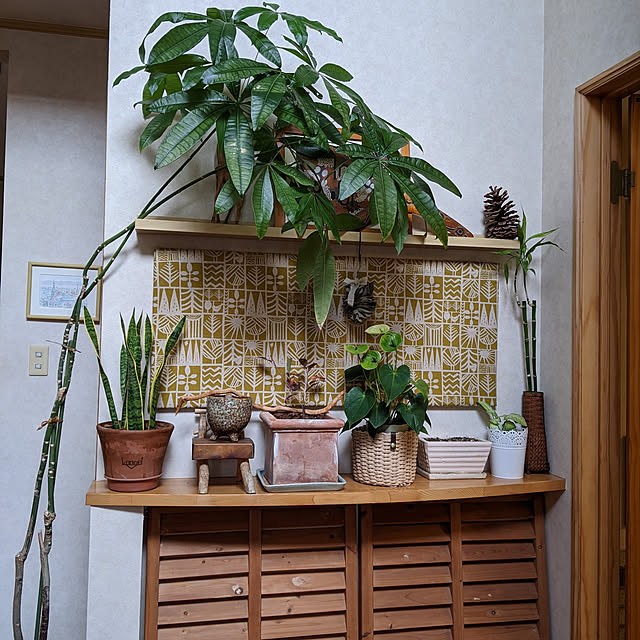 kouheiyuto24623takaさんの実例写真