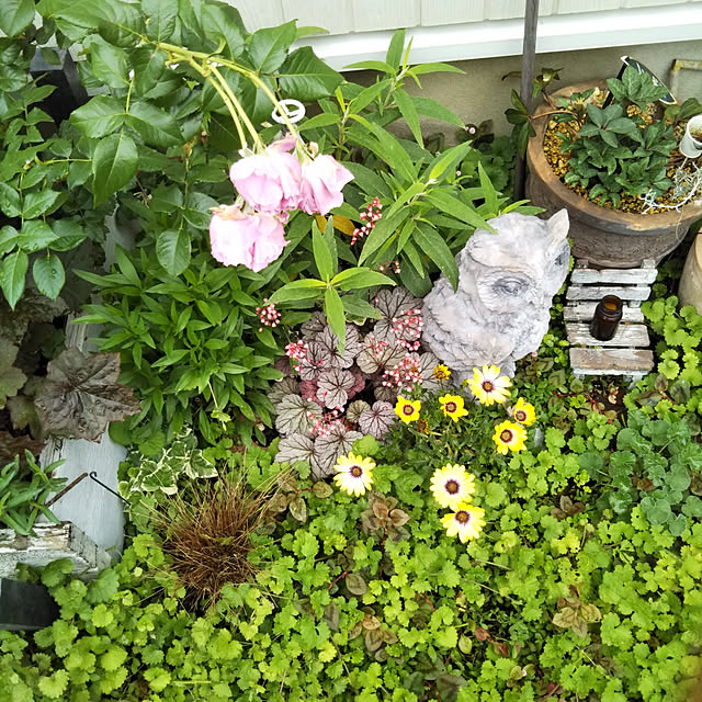 yukkoさんの実例写真