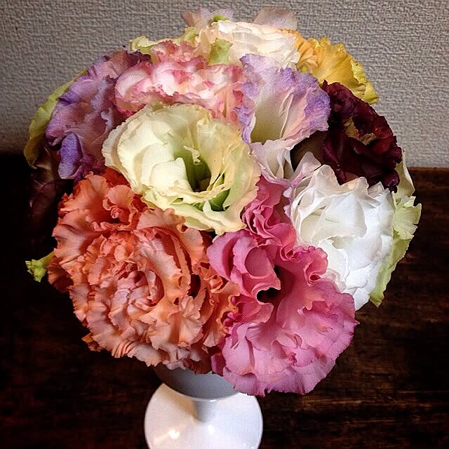 maoさんの実例写真
