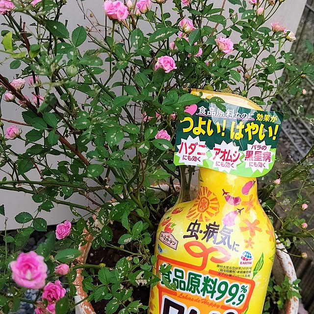Ri-さんの実例写真