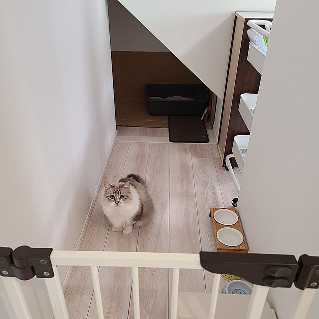 mokorinさんの実例写真