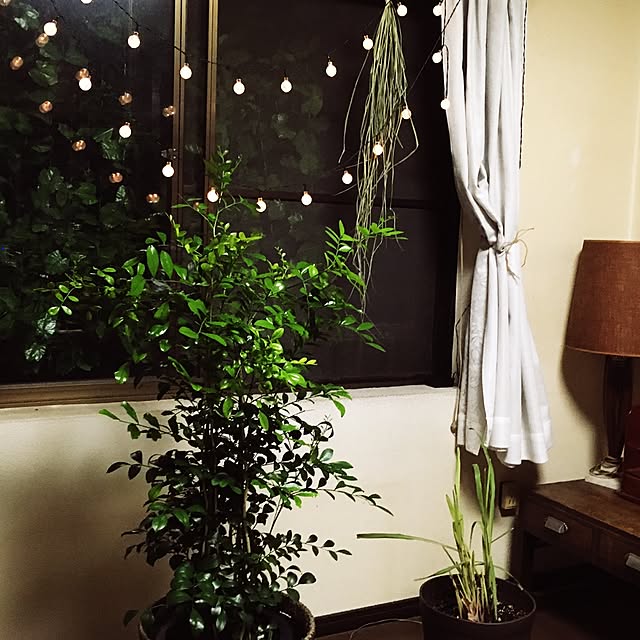 fsmさんの実例写真