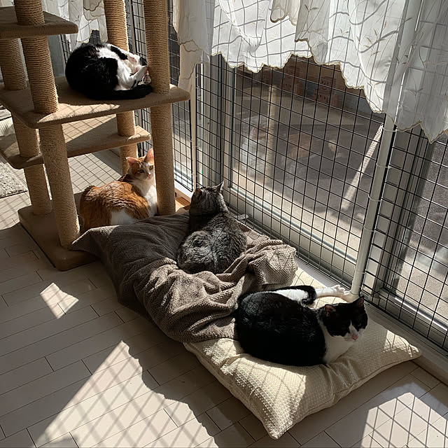 bikkeさんの実例写真