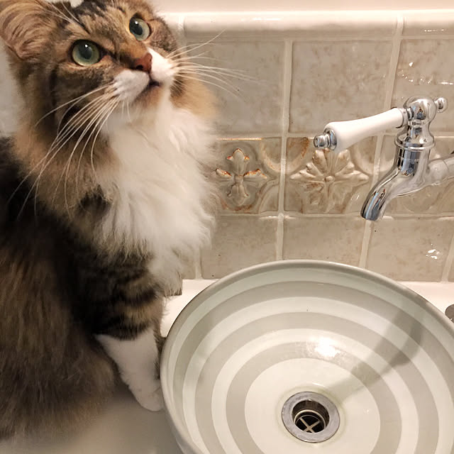 yuchiさんの実例写真