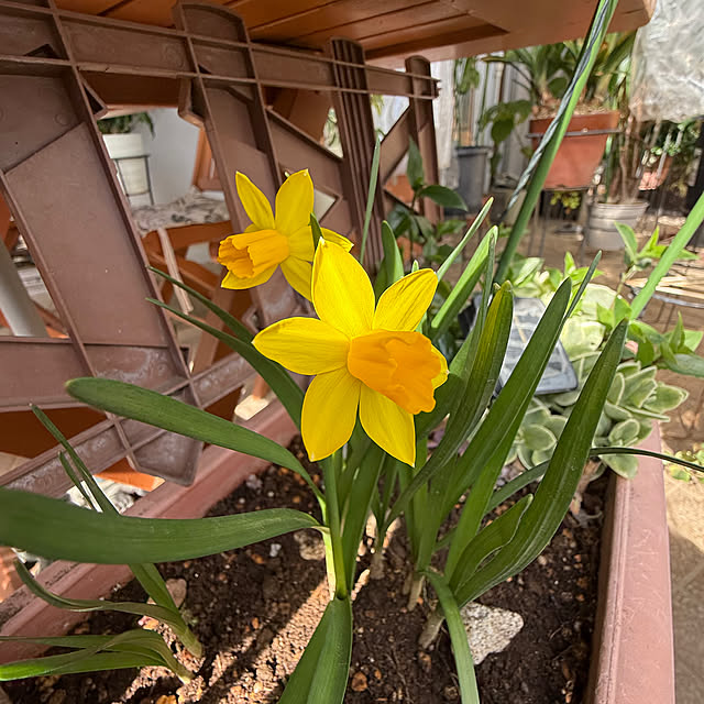 Aqettyさんの部屋