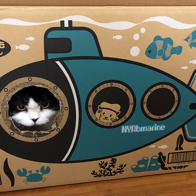 reonさんの実例写真