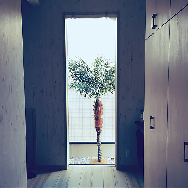 wappin39さんの実例写真
