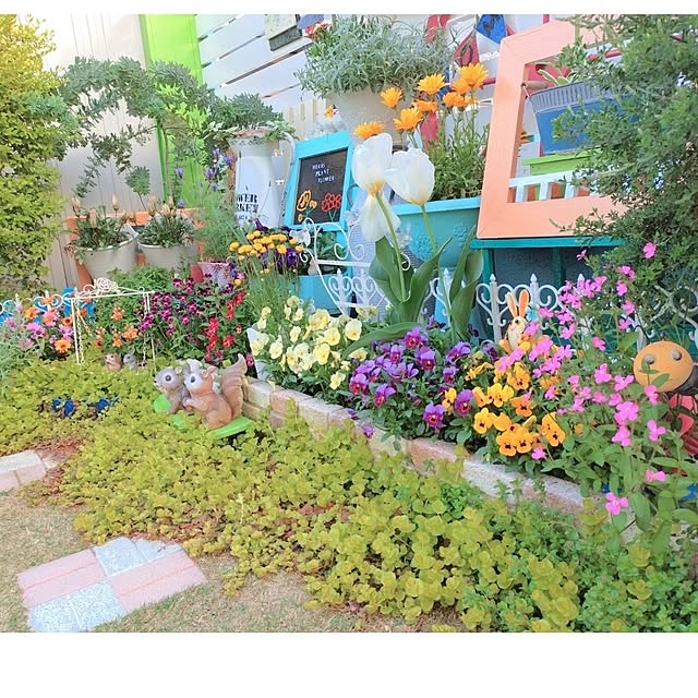 Miyumamaさんの部屋