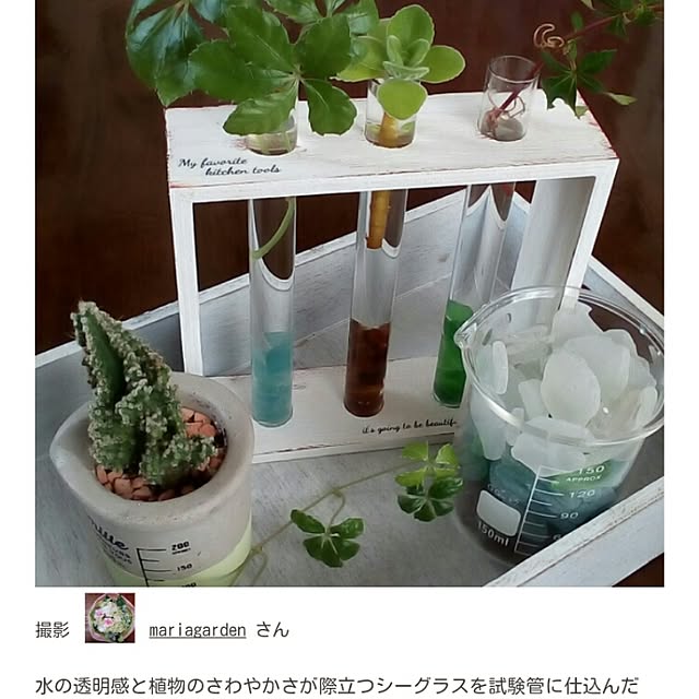 mariagardenさんの実例写真
