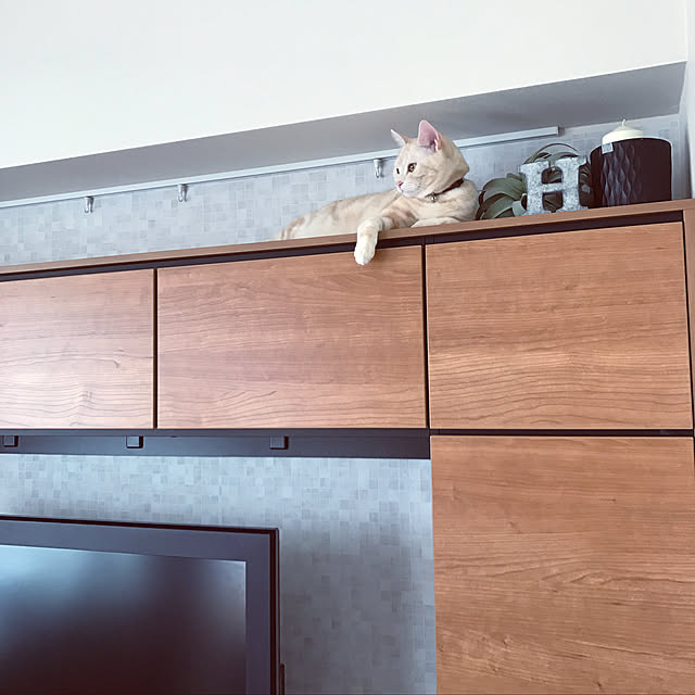 hiyupan88さんの実例写真