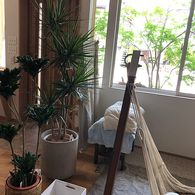 ikkoさんの部屋