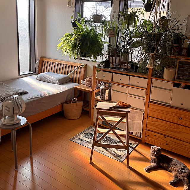greycatsさんの部屋