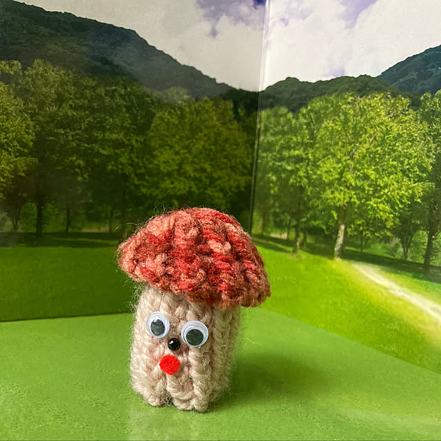 manduonmaさんの実例写真