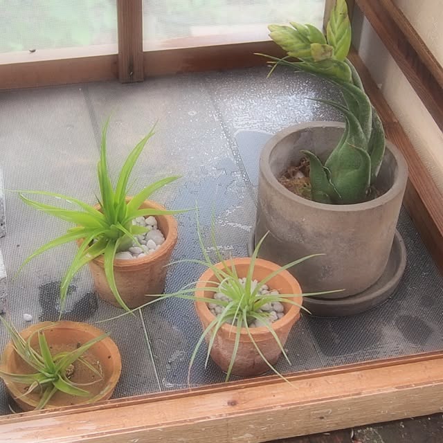 kaさんの実例写真