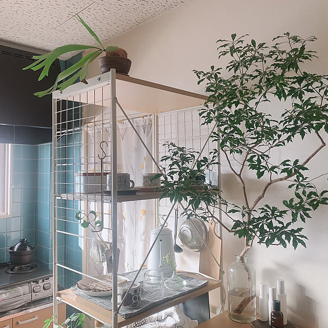 nao.roomさんの実例写真